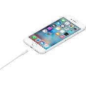 Câble APPLE USB-A vers Lightning - 1 mètre - BLANC - MXLY2ZM/A